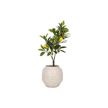 Elegant White Textured Glaze Terracotta Planter for Home Decor
