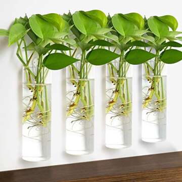 Vumdua 4 Pack Glass Planters for Home Decor and Plants