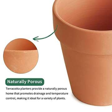 POTEY 020161 Terracotta Flower Pot Terra Cotta Clay Planter - 4.1 Inch with Drain Hole for Succulent Cactus - Set of 6, Unglazed