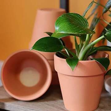 POTEY 020161 Terracotta Flower Pot Terra Cotta Clay Planter - 4.1 Inch with Drain Hole for Succulent Cactus - Set of 6, Unglazed