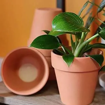 POTEY 020161 Terracotta Flower Pot Terra Cotta Clay Planter - 4.1 Inch with Drain Hole for Succulent Cactus - Set of 6, Unglazed