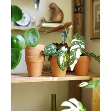 POTEY 020161 Terracotta Flower Pot Terra Cotta Clay Planter - 4.1 Inch with Drain Hole for Succulent Cactus - Set of 6, Unglazed