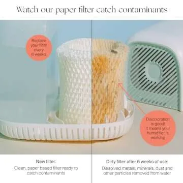 Canopy Bedside Humidifier - Hydrate & Alleviate Symptoms