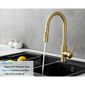 Havin Gold Kitchen Faucet - Stylish and Functional Addition