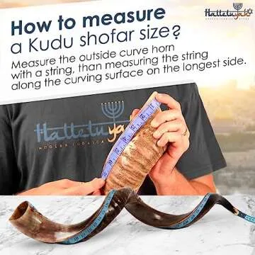 HalleluYAH Yemenite kudu Shofar From Israel Plus Free Bonus Ram Horn