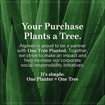 Algreen Athena Rain Barrel 80 Gallon Stylish Garden Accessories