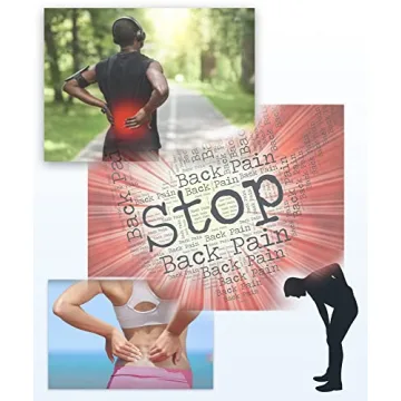 ChiFit Multi-Level Back Stretcher for Pain Relief and Flexibility