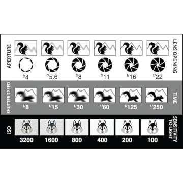 Pocket Photography Cheat Sheets for All Camera Types
