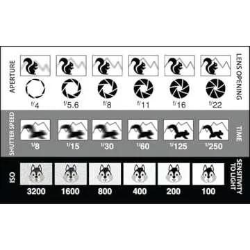 Pocket Photography Cheat Sheets for All Camera Types