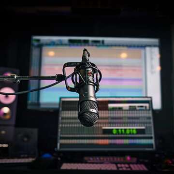 Lauten Audio LS-208 Front Address Large Diaphragm Condenser Microphone