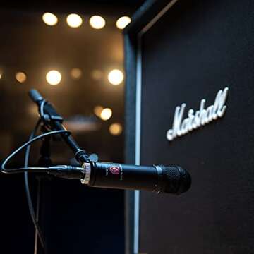 Lauten Audio LS-208 Front Address Large Diaphragm Condenser Microphone