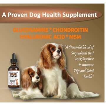 NODENS Small Dog Hip and Joint Liquid Glucosamine for Dogs with Chondroitin – Small Dog Joint Supplement for Natural Dog Pain Relief Anti-inflammatory for Improved Joint Flexibility and Mobility 59ml
