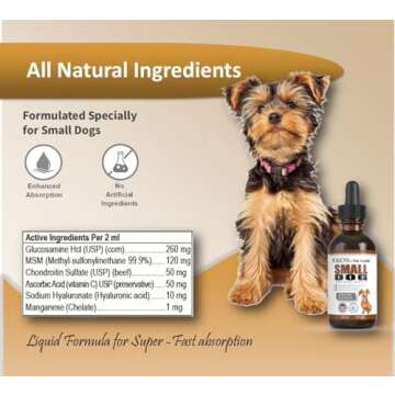 NODENS Small Dog Hip and Joint Liquid Glucosamine for Dogs with Chondroitin – Small Dog Joint Supplement for Natural Dog Pain Relief Anti-inflammatory for Improved Joint Flexibility and Mobility 59ml