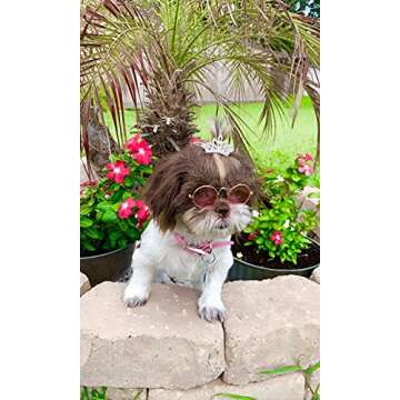 PET SHOW 1pc/Pack Dog Tiara Crown Hair Clips Bows for Small Dogs Costume Crystal Rhinestone Girls Puppies Barrette Grooming Hair Accessories