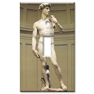 Art Plates - Michelangelo's David Switch Plate for Unique Decoration