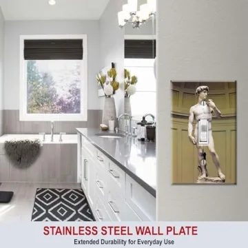Art Plates Michelangelo's David Switch Plate Unique Design