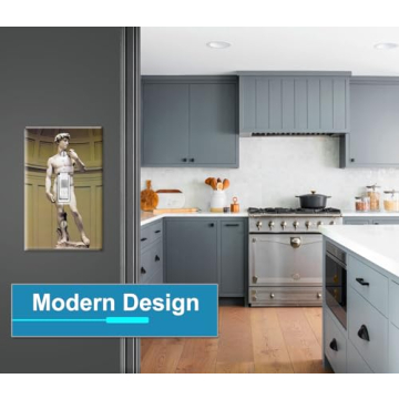 Art Plates Michelangelo's David Switch Plate Unique Design