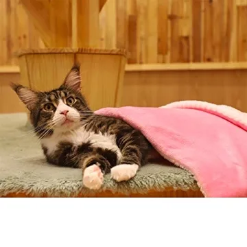 furrybaby Premium Fluffy Fleece Dog Blanket Soft and Warm Reversible Flannel Pet Blanket for Dogs 24x32inch Washable Indoor Cats Blankets for Cozy Comfy Nap(Pink)