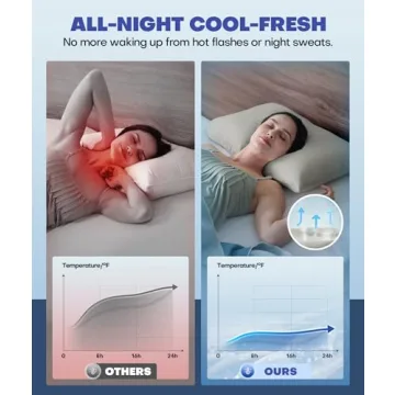 Ice Cooling Pillow Cases for Hot Sleepers, Stay Cool All Night, Smoother Than Silk Pillowcase, Luxurious Covers w/Hidden Zipper for Hair Skin, for Men Women Mom (Light Gray, Standard)