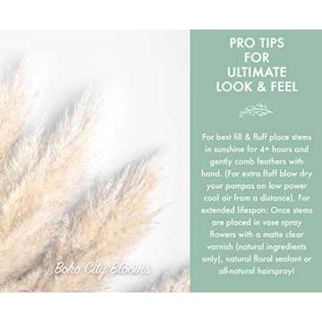 Boho City Blooms | 5 Dried Palm Leaves 13-19” | Bohemian Decor for Home Walls, Weddings & Bouquets...