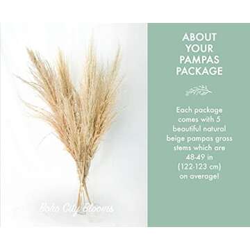 Boho City Blooms | 5 Dried Palm Leaves 13-19” | Bohemian Decor for Home Walls, Weddings & Bouquets | Natural, Decorative Sun Spears | Simplistic Farmhouse Chic | Interior Design Flowers