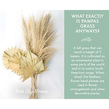 Boho City Blooms | 5 Dried Palm Leaves 13-19” | Bohemian Decor for Home Walls, Weddings & Bouquets | Natural, Decorative Sun Spears | Simplistic Farmhouse Chic | Interior Design Flowers