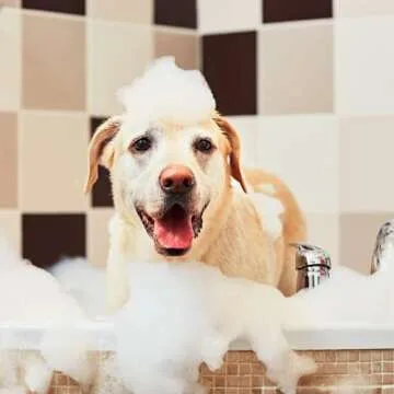 Hypoallergenic Dog Conditioner  - Pooch Botanique Cream Rinse