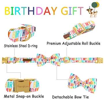 Unique Style Paws Birthday Dog Collar - Cute Bow Tie for Medium Dogs