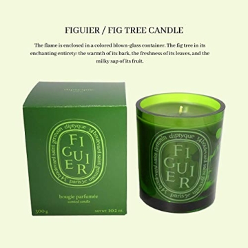 Indulge in Diptyque Green Figuier Candle for Elegance