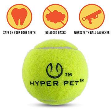 Hyper Pet Tennis Balls for Dogs; Pet Safe Dog Toys for Exercise and Training; 2 Count (Pack of 1); Colors May Vary; Green