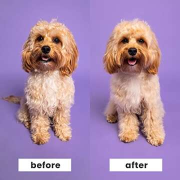 Pet Teezer by Tangle Teezer Detangling Dog Grooming Brush, Dry Brush or Dog Bath Brush for Wet or Dry Fur, Navy & Orange