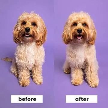 Pet Teezer by Tangle Teezer Detangling Dog Grooming Brush, Dry Brush or Dog Bath Brush for Wet or Dry Fur, Navy & Orange