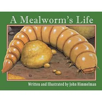 A Mealworm's Life: An Illustrated Journey Through Nature's Cycle