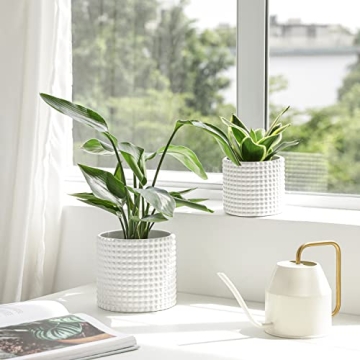 POTEY Vintage Ceramic Planter Pots for Indoor Plants 6 Inch