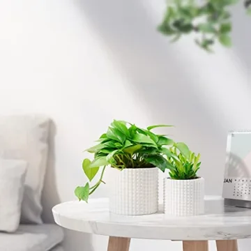 POTEY Vintage Ceramic Planter Pots for Indoor Plants 6 Inch