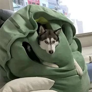 BXEBUI 59 Inch Giant Wearable Turtle Shell Pillows Weighted Stuffed Animal Costume Oversized Plush Toy Funny Dress Up Gift for Adults (59 in)