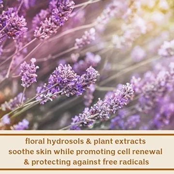 Solluna Feel Good Cleanser Safely Deep Cleans and Nourishes