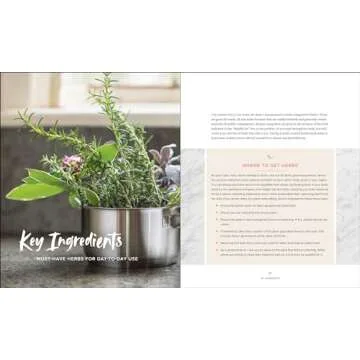 Master Recipes from the Herbal Apothecary: 375 Tinctures, Salves, Teas, Capsules, Oils, and Washes for Whole-Body Health and Wellness