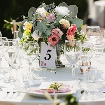 Elegant HATOKU Silver Dollar Eucalyptus Stems for Decor