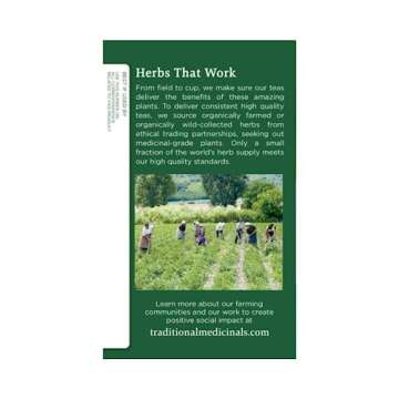 Traditional Medicinals Organic Spearmint Herbal Tea, Healthy & Refreshing, (Pack of 2) - 32 Tea Bags Total