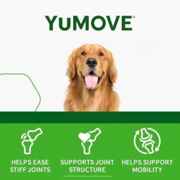 Hip and Joint Supplement - 240 Tablets for Dogs with Glucosamine, Chondroitin, MSM, Omega 3, Hyaluronic Acid, Green Lipped Mussel, & Fish Oil for Dogs - Joint Support Supplement - Senior Dogs