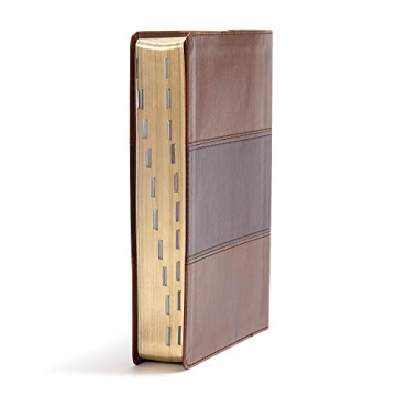 CSB Apologetics Study Bible in Mahogany LeatherTouch - Indexed and Comprehensive