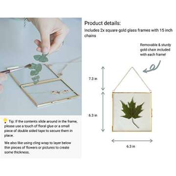 Glass Frame for Pressed Flowers, Leaf and Artwork - Hanging Gold 6x6 Square Metal Picture Frames, Clear Double Glass Floating Frame, Wall Decor Photo Display, Set of 2 Flower Press Frames with Chain