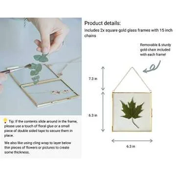 Glass Frame for Pressed Flowers, Leaf and Artwork - Hanging Gold 6x6 Square Metal Picture Frames, Clear Double Glass Floating Frame, Wall Decor Photo Display, Set of 2 Flower Press Frames with Chain