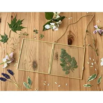 Glass Frame for Pressed Flowers, Leaf and Artwork - Hanging Gold 6x6 Square Metal Picture Frames, Clear Double Glass Floating Frame, Wall Decor Photo Display, Set of 2 Flower Press Frames with Chain