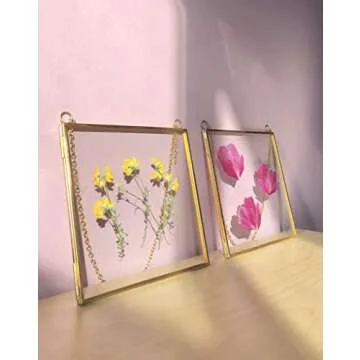 Glass Frame for Pressed Flowers, Leaf and Artwork - Hanging Gold 6x6 Square Metal Picture Frames, Clear Double Glass Floating Frame, Wall Decor Photo Display, Set of 2 Flower Press Frames with Chain