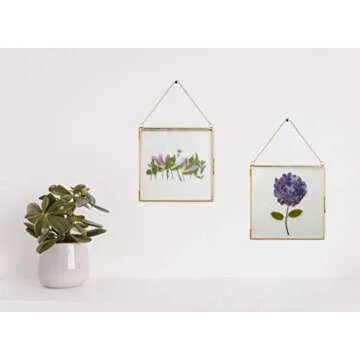 Glass Frame for Pressed Flowers, Leaf and Artwork - Hanging Gold 6x6 Square Metal Picture Frames, Clear Double Glass Floating Frame, Wall Decor Photo Display, Set of 2 Flower Press Frames with Chain