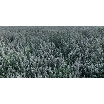 Ultimate Blend Silver Vine and Catnip for Happy Cats