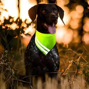 Reflective Dog Bandana for High Visibility Safety