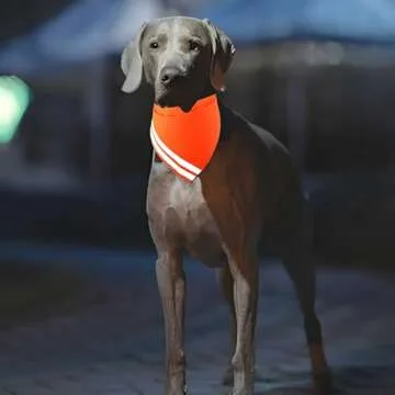 Reflective Dog Bandana for High Visibility Safety